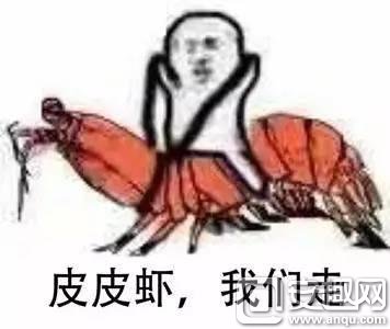 皮皮虾我们走