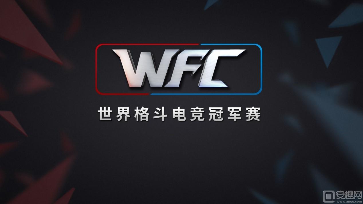 WFC世界格斗电竞冠军赛.jpg